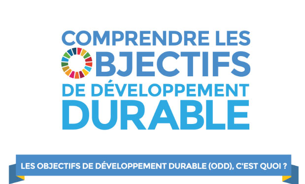 ouvrir l'affiche Comprendre les objectifs de développement durable