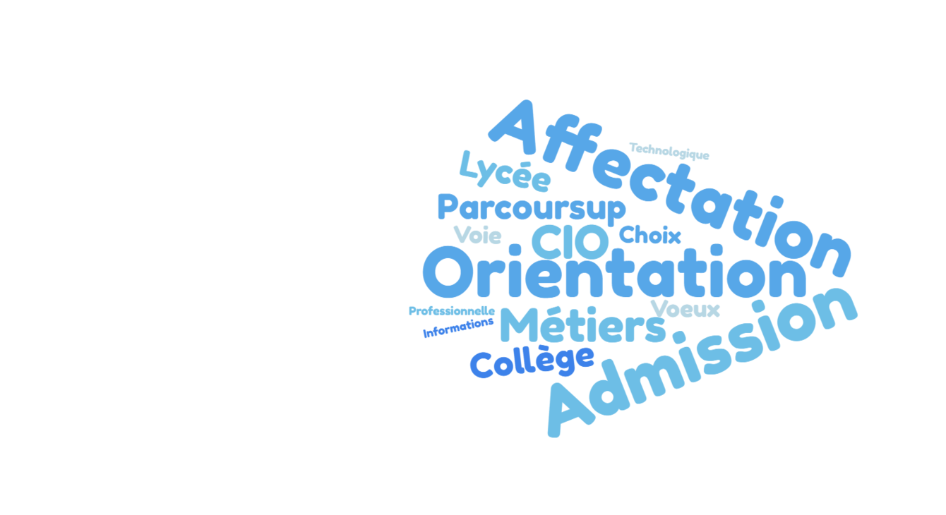 nuage de mots orientation