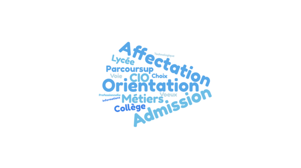 nuage de mots orientation