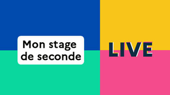mON STAGE DE SECONDE